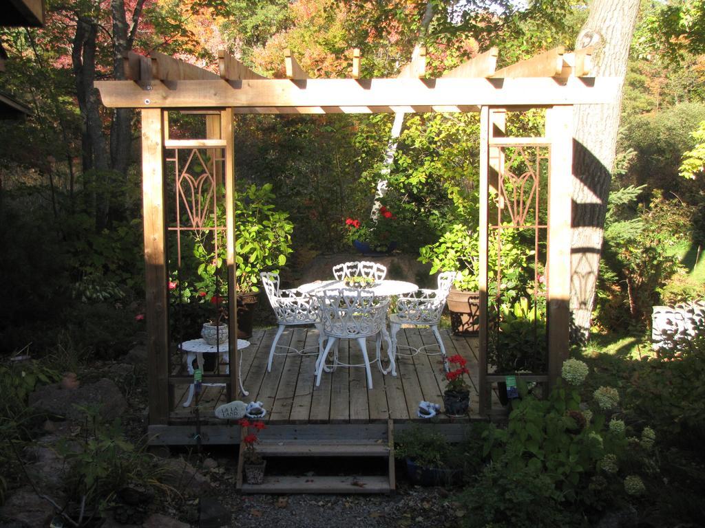 Shambhala Bed And Breakfast Buckhorn Exterior photo